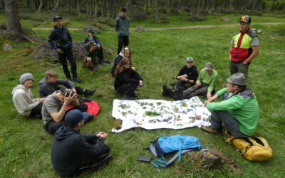 Gemeinsam für die Alm – Almpflegeprojekt im Kalser Dorfertal