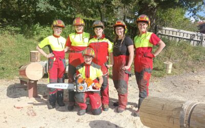 Lernen von den Besten – Spezialwaldarbeitstraining am Litzlhof