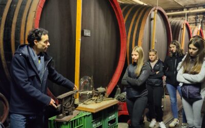 Besuch bei der Firma Weger Weinhandel & Weinagentur