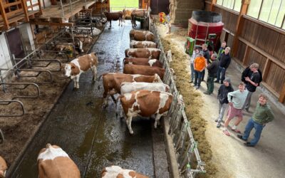 Einblick in moderne und vielseitige Landwirtschaft